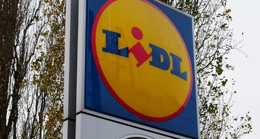 Lidl przygotował blisko 20 propozycji kwiatowych na Dzień Kobiet