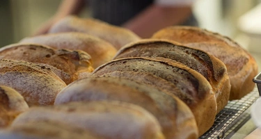 Koszty produkcji w piekarniach wzrosły o 70%. Branża zmaga się z rosnącym zadłużeniem
